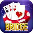 Иконка программы: Bridge