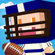 أيقونة البرنامج: Bumpy Football Game