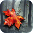 ไอคอนของโปรแกรม: Autumn Wallpaper HD Live …