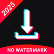 Icono de programa: Video downloader for Tikt…