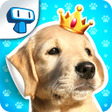 Ikon program: My Dog Album - Cute Puppy…