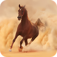 Icon of program: Horse Wallpaper HD
