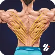V-Shape Body Workout -Hot Body