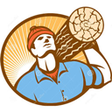 Иконка программы: WP Logger