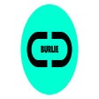 أيقونة البرنامج: BURLIE - Bynder URL Initi…