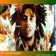 程序图标：Bob Marley theme