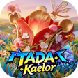 Ícone do programa: TADAKaelor