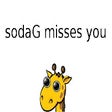 Icon of program: BRING BACK SODAG