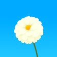 Иконка программы: HDPix - Wallpapers for Yo…