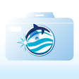 Programikonen: Delphinus Memories