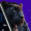 Icon of program: Artful Walls Launcher