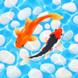 Иконка программы: Fish Live Wallpaper 2021:…