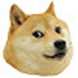 Programikonen: Dogestracted