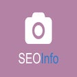 Programikonen: SEOInfo
