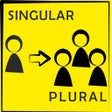 程序图标：Singular and Plural