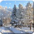 Programikonen: Snow live wallpaper