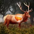 Ícone do programa: Deer Target Shooting EXPE…