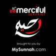 程序图标：The Merciful Servant