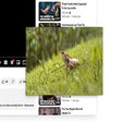 Icon of program: Picture-in-Picture Shortc…