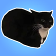 程序图标：Maxwell The Cat