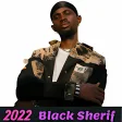 Black Sherif All Songs MP3