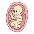 أيقونة البرنامج: Pregnancy Tracker