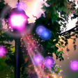 Ikona programu: Fireflies Live Wallpaper