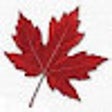 Calgary Chinese Network icon