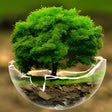 Icon of program: Nature Wallpaper