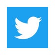 Get back Twitter icon icon
