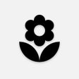 Programikonen: Self - Daily Affirmations