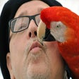 Icon of program: Bird Food and Parrot Food…