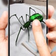 Icoon van programma: 3D spider on a hand simul…