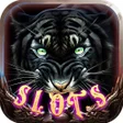 プログラムのアイコン：Black Tiger Treasure