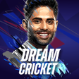 Dream Cricket 2024 icon