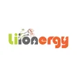 Icon of program: Liionergy Battery Direct