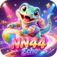 Ikon program: NN44Echo