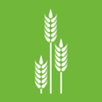 IQ-Plant icon
