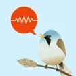 程序图标：ChirpOMatic - Automatic B…