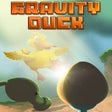 プログラムのアイコン：Gravity Duck