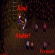 Icon of program: More Mine Ladders