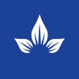 Symbol des Programms: HCCI Connect Consult a Do…