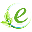 Icon of program: E-Services Pakistan