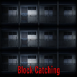 Programın simgesi: Block Catching