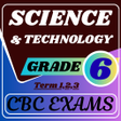 Icon of program: Dolls house kcse guide.