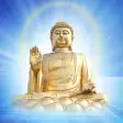 Buddha Music - Buddhist Quotes