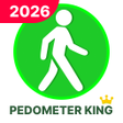 Programikonen: Pedometer Step Counter Ca…