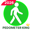 Icon of program: Pedometer Step Counter Ca…