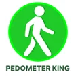 Programikonen: Pedometer Step Counter Ca…
