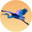 Иконка программы: Sunset Birds !!